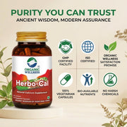 Organic Wellness Herbo-Cal 90 Veg Capsules | Hadjod, Moringa & Shatavari | Natural Calcium for Bone 