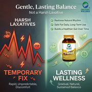 Organic Wellness Triphala 90 Veg Capsules | Amla, Bibhitaki & Haritaki | Digestion, Detox & Regular 