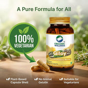 Organic Wellness Giloy 90 Veg Capsules | Organic Guduchi (Tinospora Cordifolia) | Immunity & Seasona
