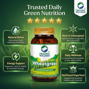 Organic Wellness Wheatgrass 90 Veg Capsules | Organic Triticum Aestivum | Chlorophyll-Rich Detox & E