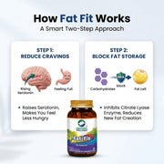 Organic Wellness Fat-Fit 90 Veg Capsules | Garcinia Cambogia & Forskolin | Natural Weight Management