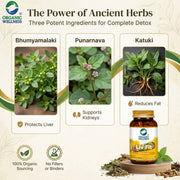 Organic Wellness Liv Fit 90 Veg Capsules | Kutki, Punarnava & Bhumi Amla | Liver Detox & Fatty Liver