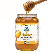 Organic Wellness Raw Wild Forest Honey 350g | Unheated & Unprocessed | Immunity & Natural Energy