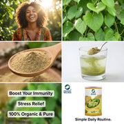 Organic Wellness Giloy Powder 100g | Organic Guduchi Stem Powder | Immunity & Fever Recovery