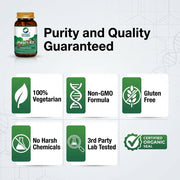 Organic Wellness Heart-Fit 90 Veg Capsules | Arjuna Bark, Moringa & Reetha | Heart, Circulation & BP