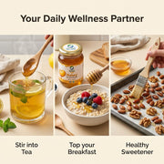 Organic Wellness Raw Wild Forest Honey 350g | Unheated & Unprocessed | Immunity & Natural Energy