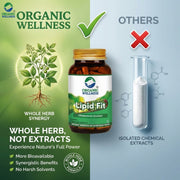 Organic Wellness Lipid-Fit 90 Veg Capsules | Arjuna, Hadjod, Amla & Ashwagandha | Healthy Cholestero