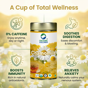Organic Wellness Blossom Chamomile 100g Tin | Whole Chamomile Flower Tea | Caffeine Free, Relaxation