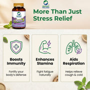 Organic Wellness Tulsi+ 90 Veg Capsules | Rama, Krishna & Vana Tulsi | Stress, Immunity & Respirator