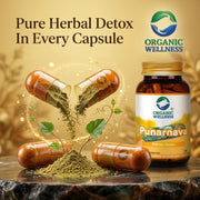 Organic Wellness Punarnava 90 Veg Capsules | Organic Boerhavia Diffusa | Kidney, Liver & Water Reten