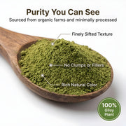 Organic Wellness Giloy Powder 100g | Organic Guduchi Stem Powder | Immunity & Fever Recovery