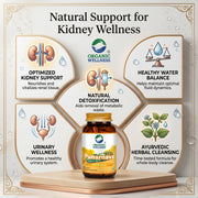 Organic Wellness Punarnava 90 Veg Capsules | Organic Boerhavia Diffusa | Kidney, Liver & Water Reten