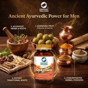 Organic Wellness Gokshura 90 Veg Capsules | Organic Tribulus Terrestris | Male Vitality, Stamina & U