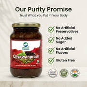 Organic Wellness Chyawanprash 350g | Amla & Ayurvedic Herbs with Ghee and Honey | Immunity & Stamina