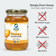 Organic Wellness Raw Wild Forest Honey 350g | Unheated & Unprocessed | Immunity & Natural Energy