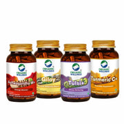 Organic Wellness Ayush Kit | Ashwagandha, Giloy, Tulsi & Turmeric Capsules | Immunity Regime