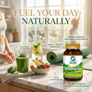 Organic Wellness Wheatgrass 90 Veg Capsules | Organic Triticum Aestivum | Chlorophyll-Rich Detox & E