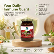 Organic Wellness Chyawanprash 350g | Amla & Ayurvedic Herbs with Ghee and Honey | Immunity & Stamina