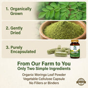 Organic Wellness Moringa Essential Nutrition 90 Veg Capsules | Organic Sahjan Drumstick Leaf | Iron,