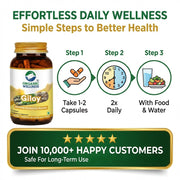 Organic Wellness Giloy 90 Veg Capsules | Organic Guduchi (Tinospora Cordifolia) | Immunity & Seasona