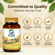Organic Wellness Giloy 90 Veg Capsules | Organic Guduchi (Tinospora Cordifolia) | Immunity & Seasona
