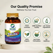 Organic Wellness Fat-Fit 90 Veg Capsules | Garcinia Cambogia & Forskolin | Natural Weight Management