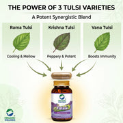 Organic Wellness Tulsi+ 90 Veg Capsules | Rama, Krishna & Vana Tulsi | Stress, Immunity & Respirator