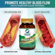 Organic Wellness Heart-Fit 90 Veg Capsules | Arjuna Bark, Moringa & Reetha | Heart, Circulation & BP