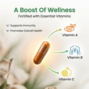 Organic Wellness Bowel-Move 90 Veg Capsules | Bael, Psyllium, Haritaki & Chandrasoor | Gentle Consti