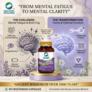 Organic Wellness Neuro Care 90 Veg Capsules | Jyotishmati & Brahmi | Nervous System, Memory & Focus