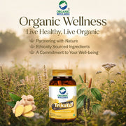 Organic Wellness Trikatu 90 Veg Capsules | Sunthi, Maricha & Pippali | Digestion, Metabolism & Respi