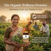 Organic Wellness Detox 90 Veg Capsules | Fenugreek, Ajwain & Black Cumin | Body Cleanse & Gut Detox