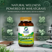 Organic Wellness Wheatgrass 90 Veg Capsules | Organic Triticum Aestivum | Chlorophyll-Rich Detox & E