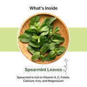 BLUE TEA - Spearmint Tea - 100 gm -100 Cups | Pcos Relief | Balances Hormones, Reduces Facial Hair & Acne and Supports Digestion | Herbal Tea - Dried Loose Leaf - Caffeine Free | Reusable Pet Jar