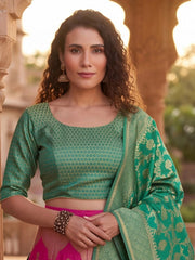 Anouk Rustic Zari Woven Semi-Stitched Lehenga with Dupatta view 19