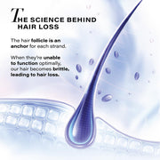 Novology Follicle Revive Scalp Serum for Hair Growth 50ml | Zinc & Niacinamide | For Hair Loss, Dry 