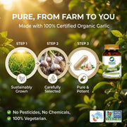 Organic Wellness Garlic 90 Veg Capsules | Organic Allium Sativum, Odour-Friendly | Cholesterol, BP &