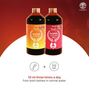 Uveda Naturals Nephro Panchamrit & Nephro Panchamrit Plus Sugar Free Combo (450ml x 2) | Ayurvedic D