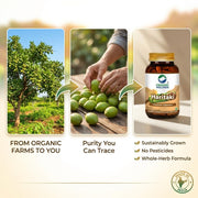 Organic Wellness Haritaki 90 N Veg Capsules
