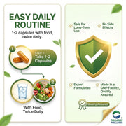 Organic Wellness Garlic 90 Veg Capsules | Organic Allium Sativum, Odour-Friendly | Cholesterol, BP &