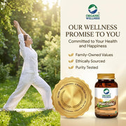 Organic Wellness Haritaki 90 N Veg Capsules