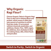 Organic Tattva Ragi Flour 500g | Nutritious Gluten Free Atta | Healthy Choice Ragi Atta for Rotis, Dosa, Porridge & Everyday Cooking