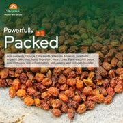 Biosash Sea Buckthorn Dry Berries 100g | Sun-Dried Himalayan Seabuckthorn Berries | Rich in Omega 3,