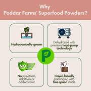 PODDAR FARMS® Premium Red Bell Pepper Powder | 100% Pure & Natural | Organic, Vegan, Non-GMO, Gluten-Free | Nutrient-Rich Superfood for Cooking, Seasoning & Smoothies | Hydroponically-Grown | 75 grams (1)