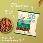 Organic Tattva Cinnamon Sticks 50g | Organic Gluten-Free Dalchini Whole
