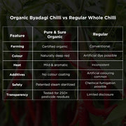 Pure & Sure Byadagi Organic (Dried) Red Chilli Whole - 100gm | 100% Natural Sabut Lal Mirch | No Preservatives, No Additives, No Colours | Rich Aroma & Taste