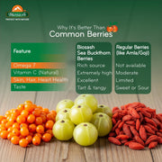 Biosash Sea Buckthorn Dry Berries 100g | Sun-Dried Himalayan Seabuckthorn Berries | Rich in Omega 3,