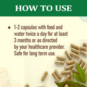 Organic Wellness Aloe Vera 90 Veg Capsules | Organic Aloe Barbadensis Leaf | Digestion, Regularity &