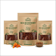 Biosash Sea Buckthorn Dry Berries 100g | Sun-Dried Himalayan Seabuckthorn Berries | Rich in Omega 3,