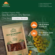 Biosash Sea Buckthorn Dry Berries 100g | Sun-Dried Himalayan Seabuckthorn Berries | Rich in Omega 3,